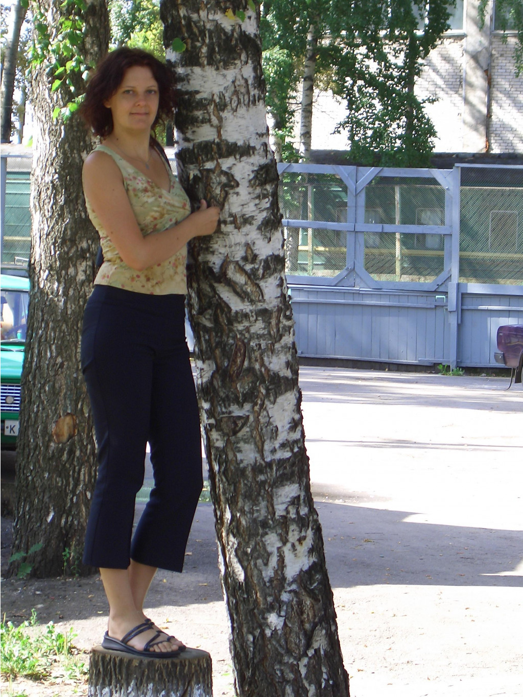  2006