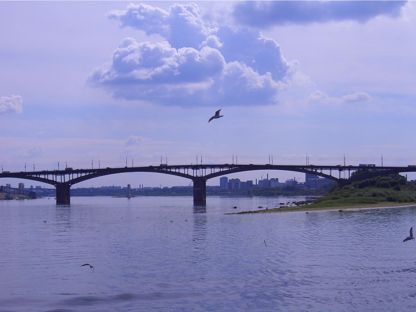  2006