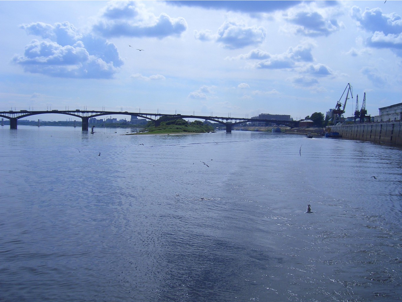  2006