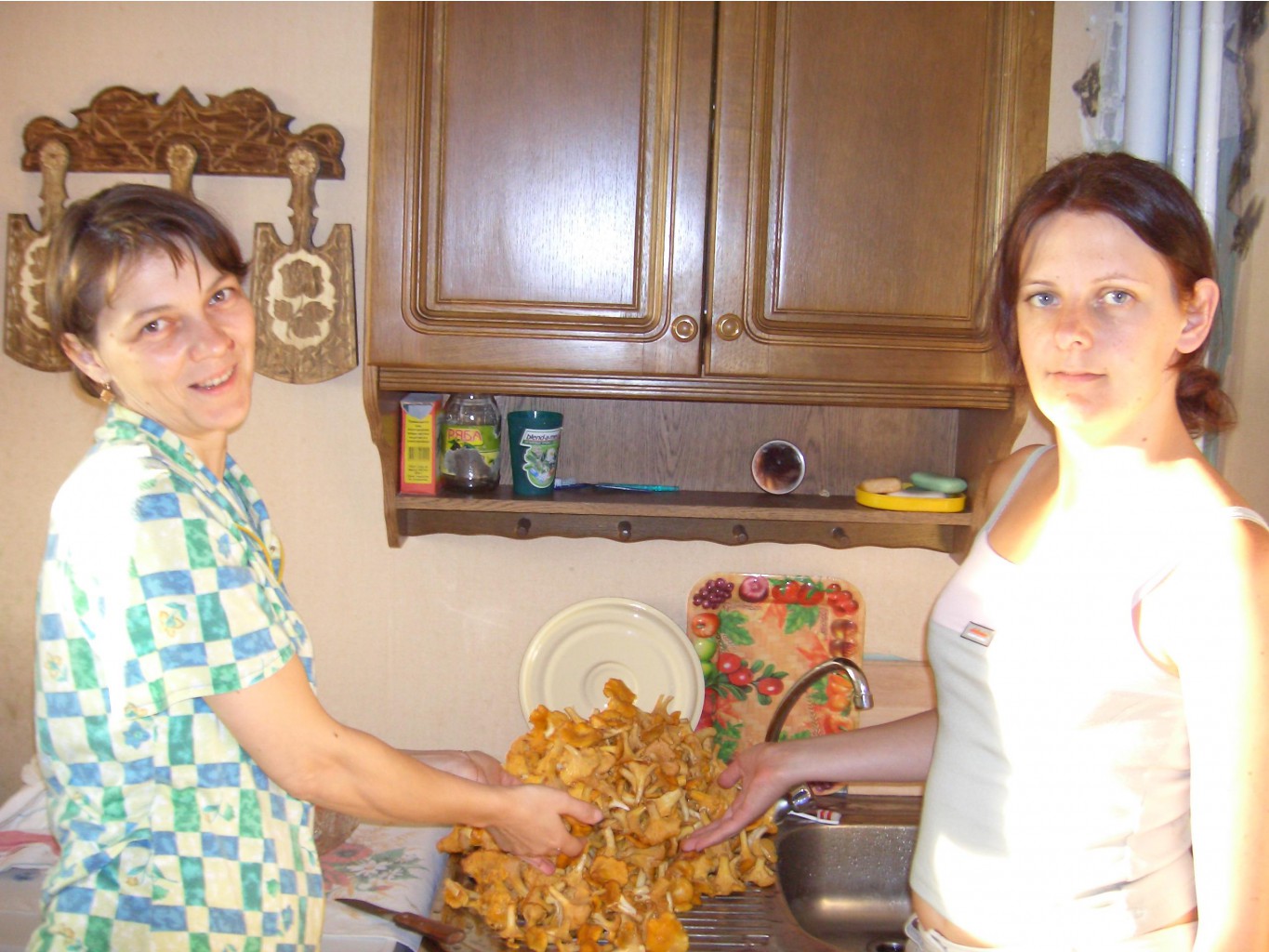  2006