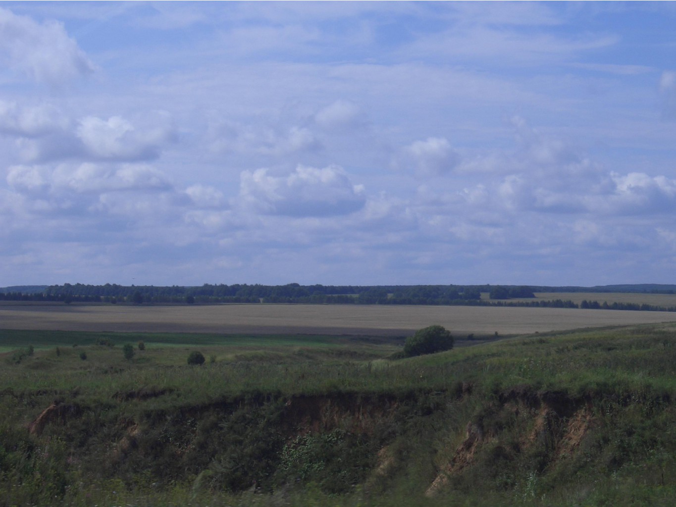  2006