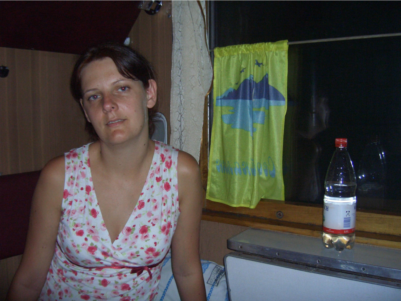  2006
