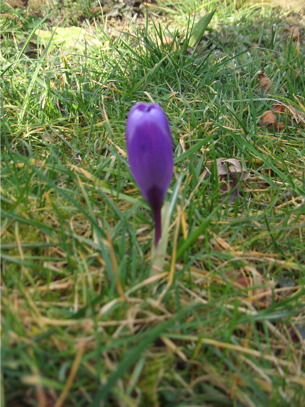    03.2007