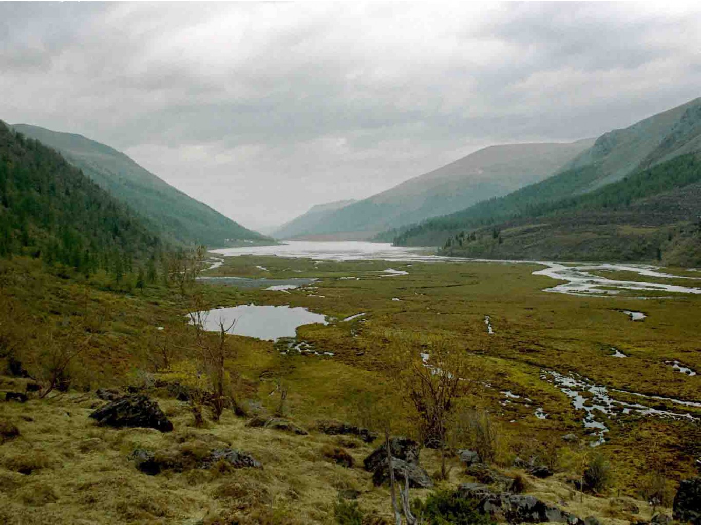 19970001 copy
