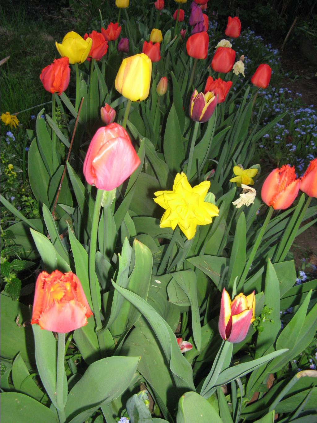  2007