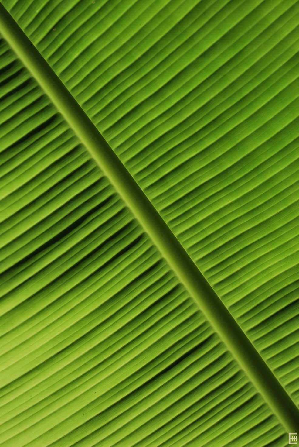 06.05.2009 9:55:38