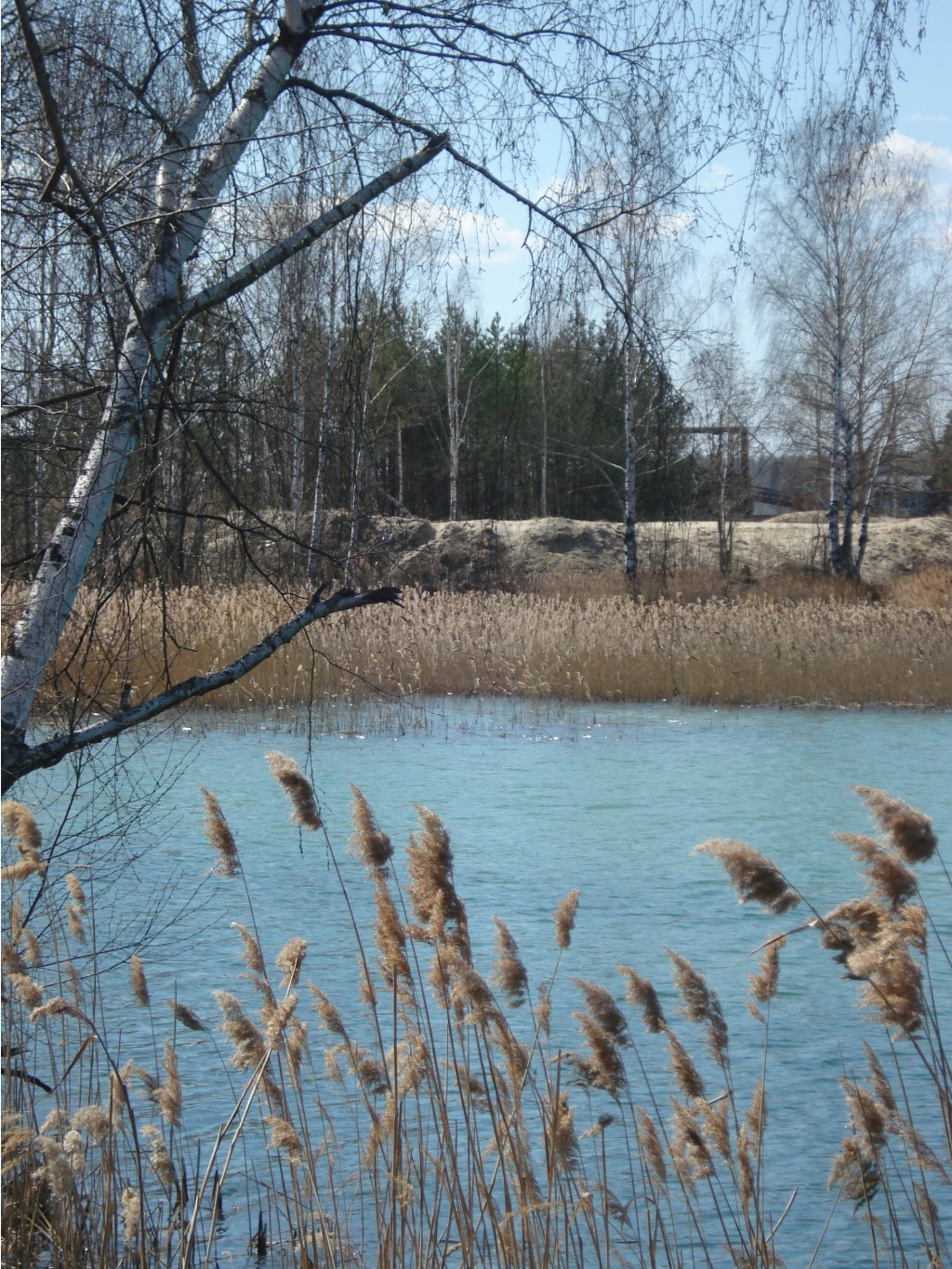 06.05.2009 14:58:17