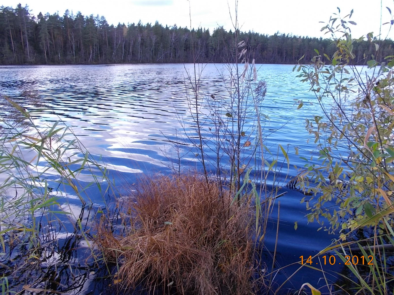 DSCN0570.JPG