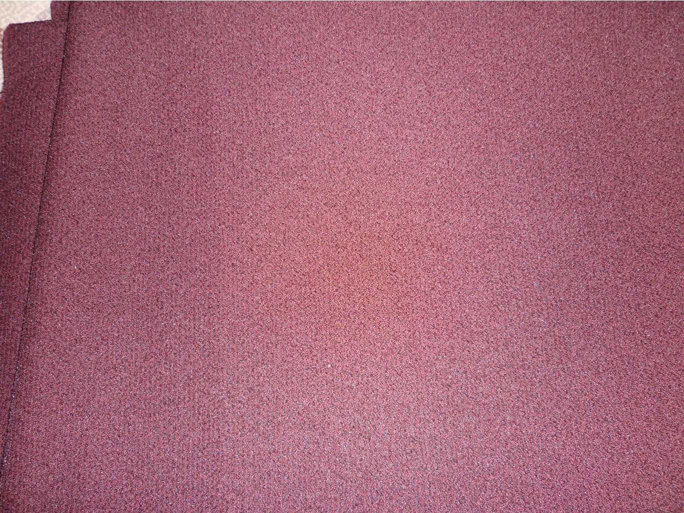 P1060424.JPG