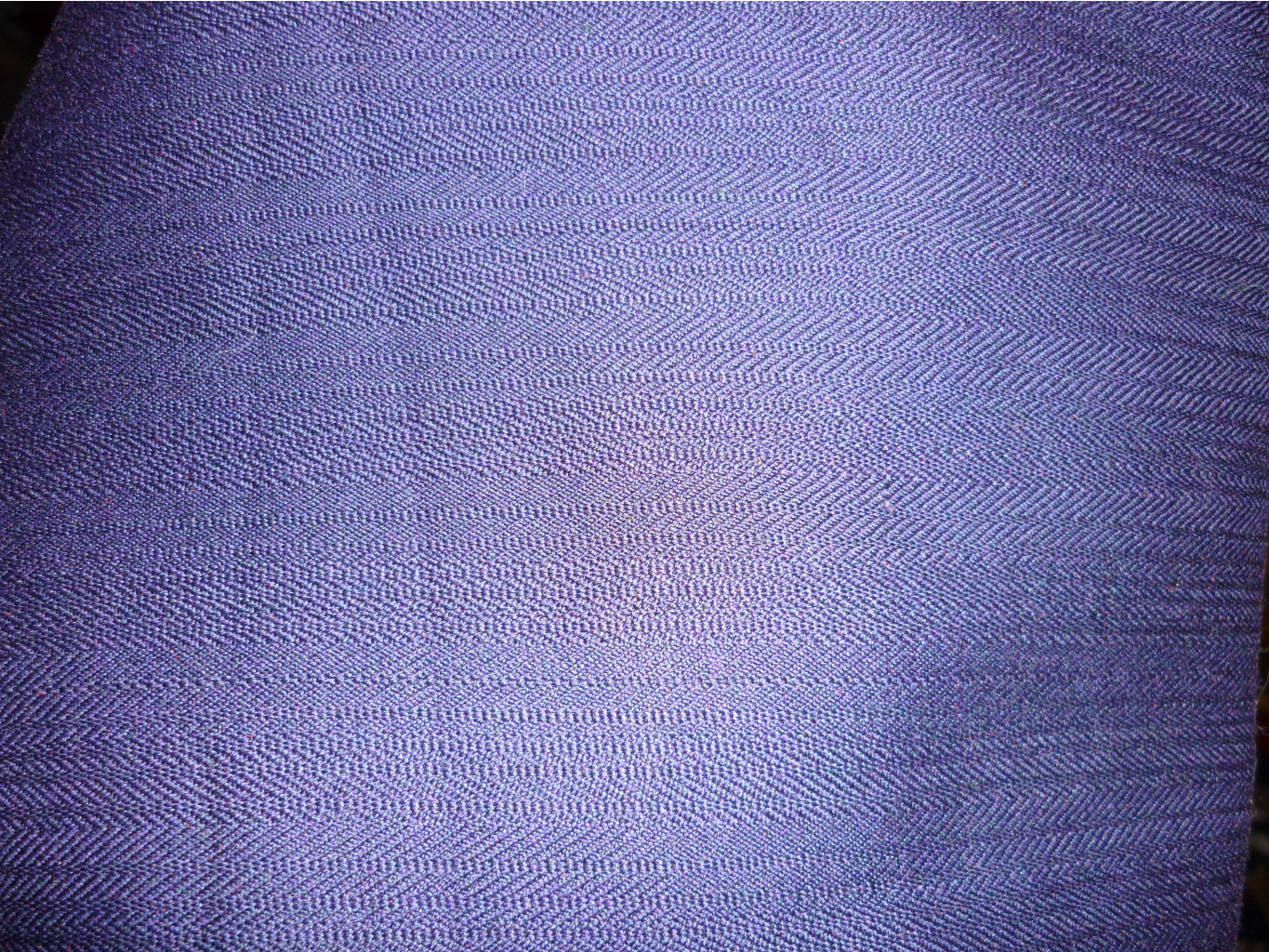P1060433.JPG