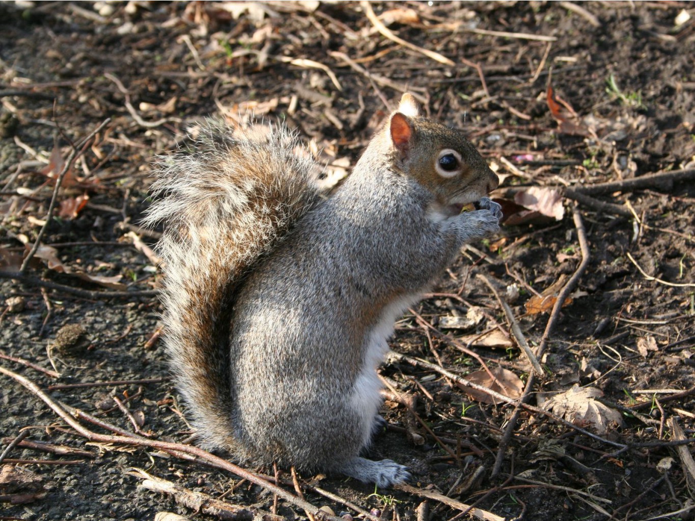 03.10.2010 11:29:58