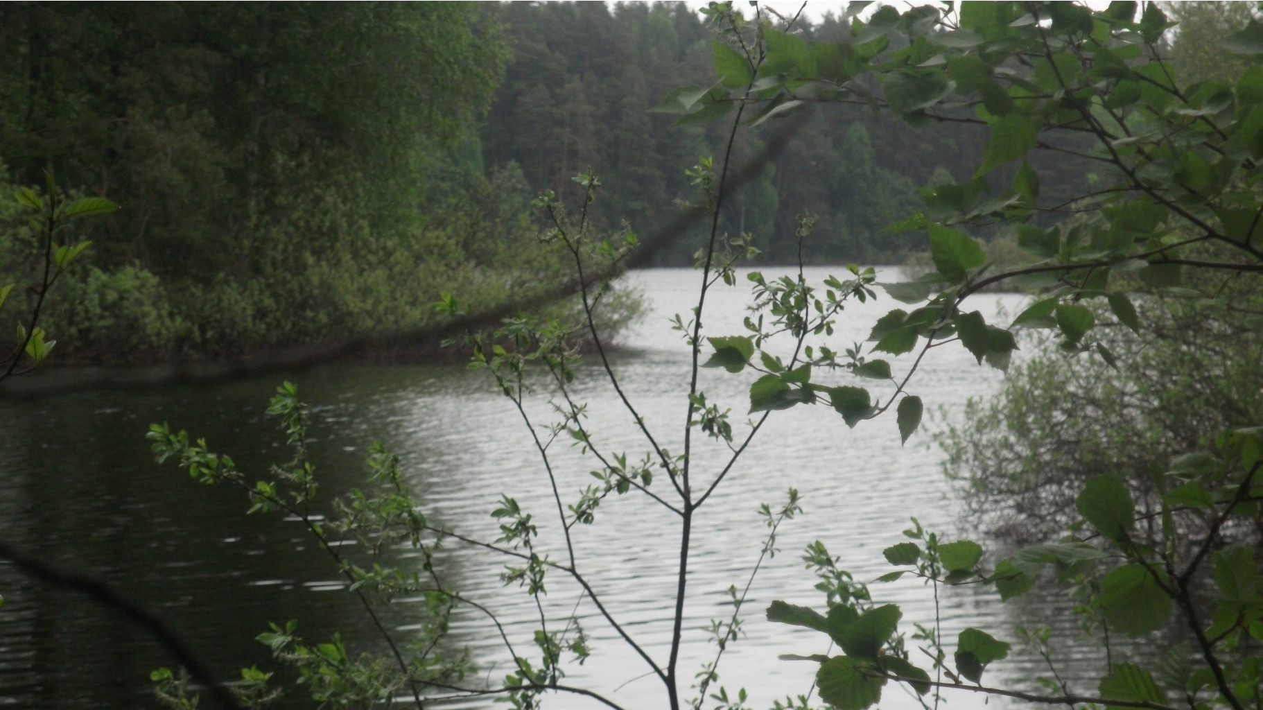DSCF0962.JPG