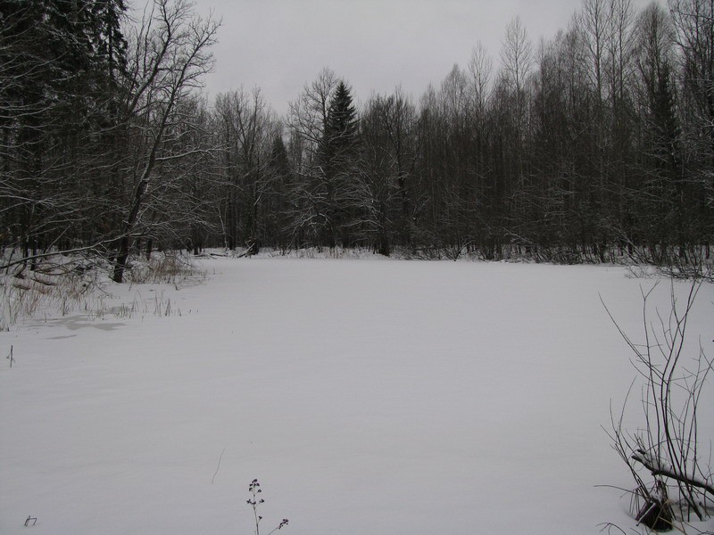 MG_5304.jpg