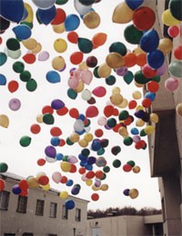 1 (15).jpg
