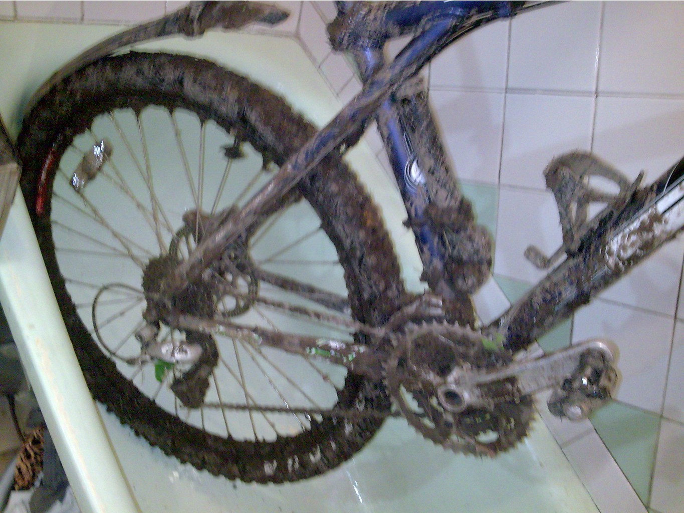 04.10.2010 10:46:39