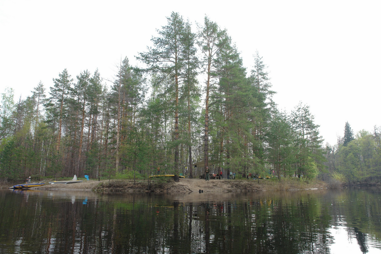DSC02014.jpg