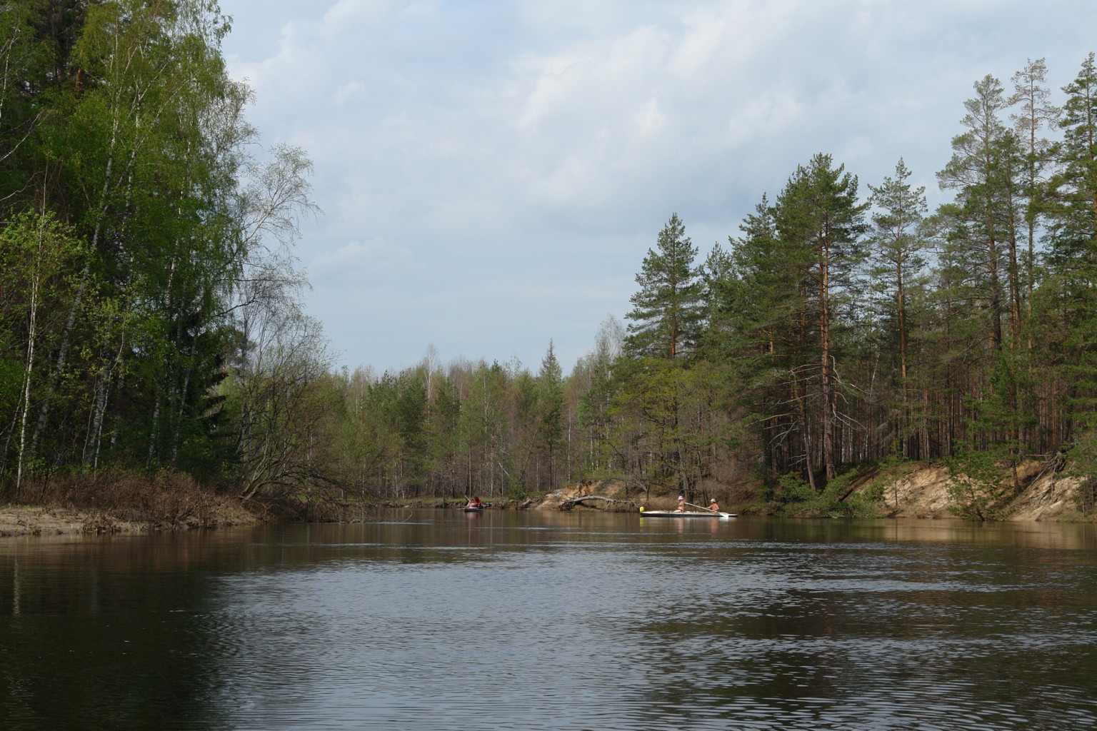 DSC02050.jpg