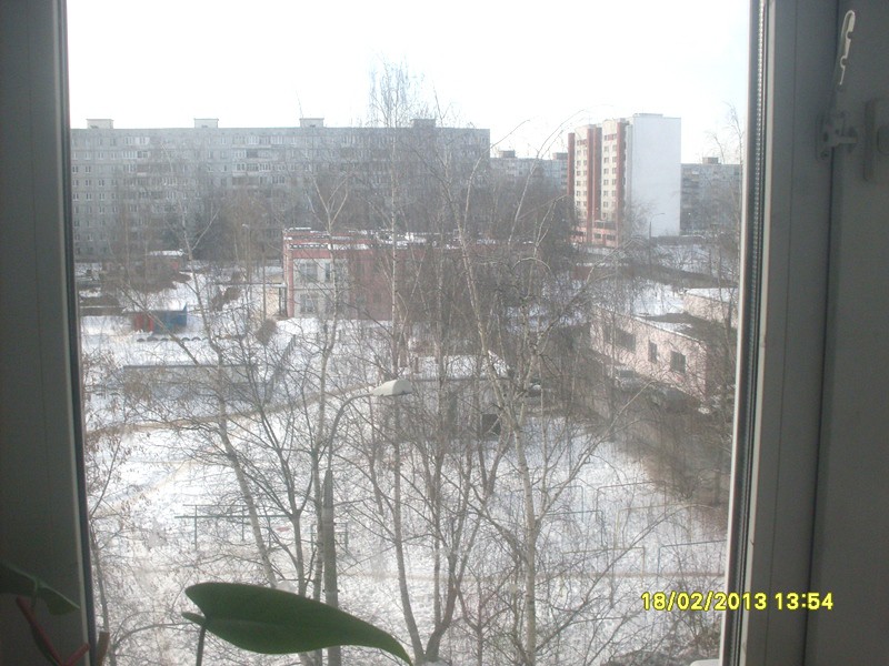 18 февраля 2013