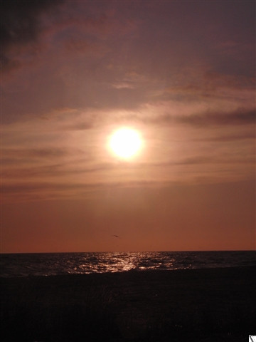 18.05.2009 15:27:40