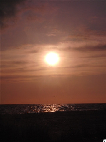 18.05.2009 15:27:43