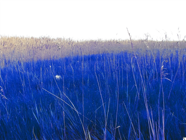 18.05.2009 15:38:28