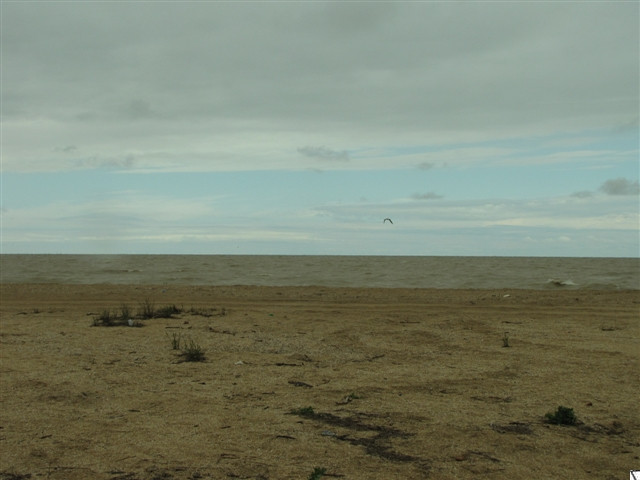 18.05.2009 15:39:43