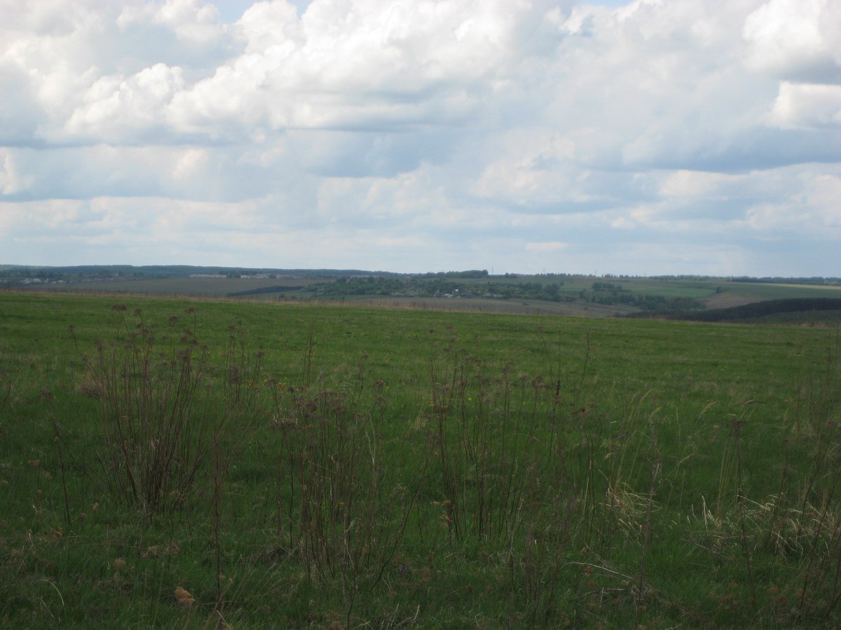 18.05.2009 16:41:06