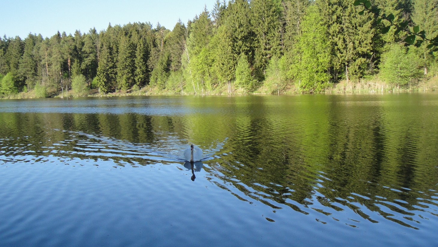 DSC04097.JPG