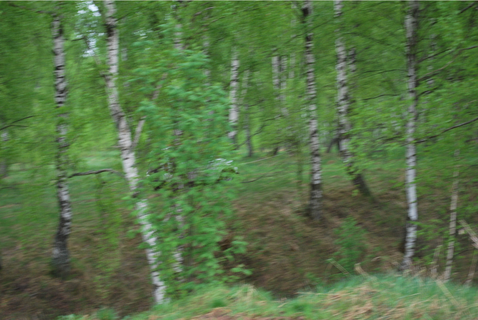 19.05.2009 8:41:44