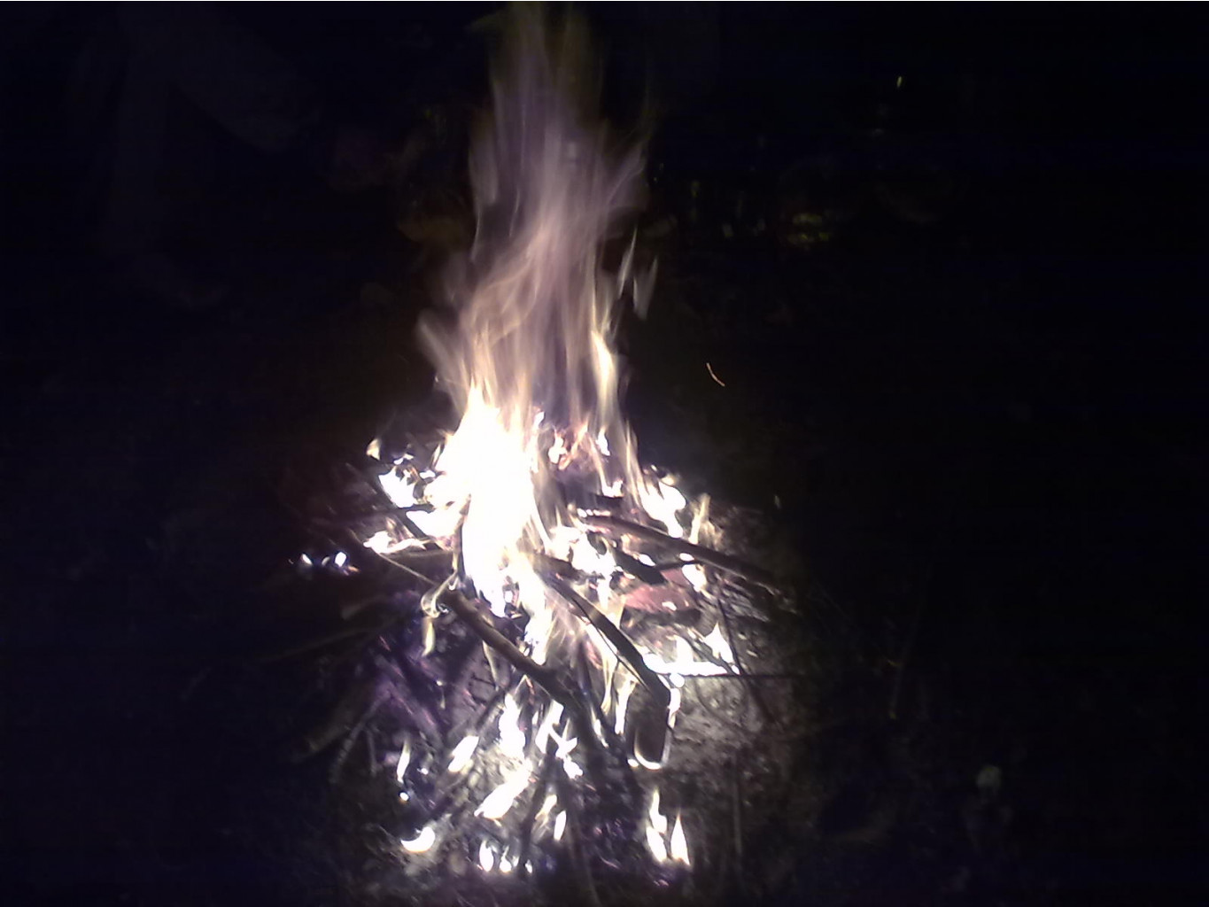 070520124991.jpg