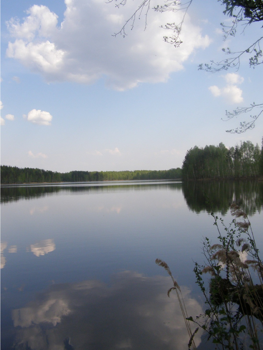 20.05.2009 11:02:08