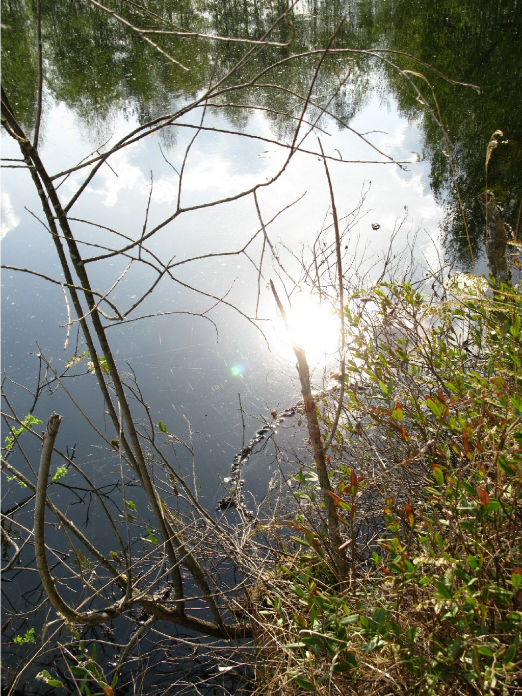20.05.2009 11:23:28