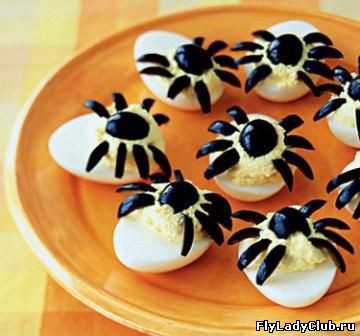 42936438-spider-eggs-l.jpg