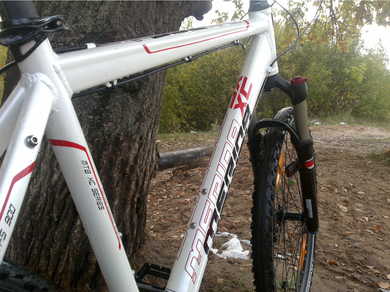 06.10.2010 14:55:34