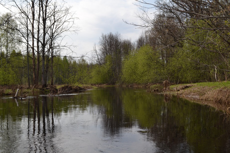 res_DSC_0266.JPG