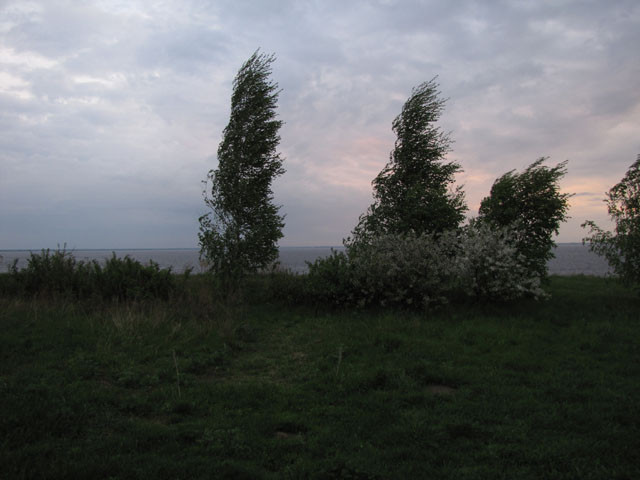 25.05.2009 23:58:04