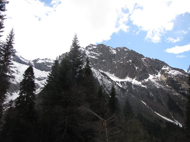 _IMG_7171.jpg