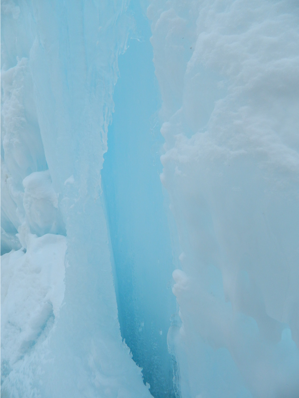DSCN1174.JPG