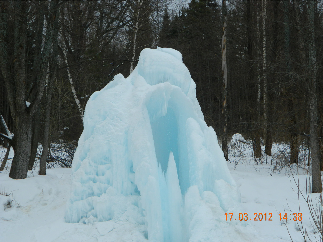 DSCN1185.JPG