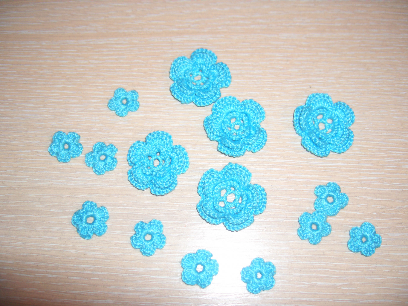 CIMG0009.JPG