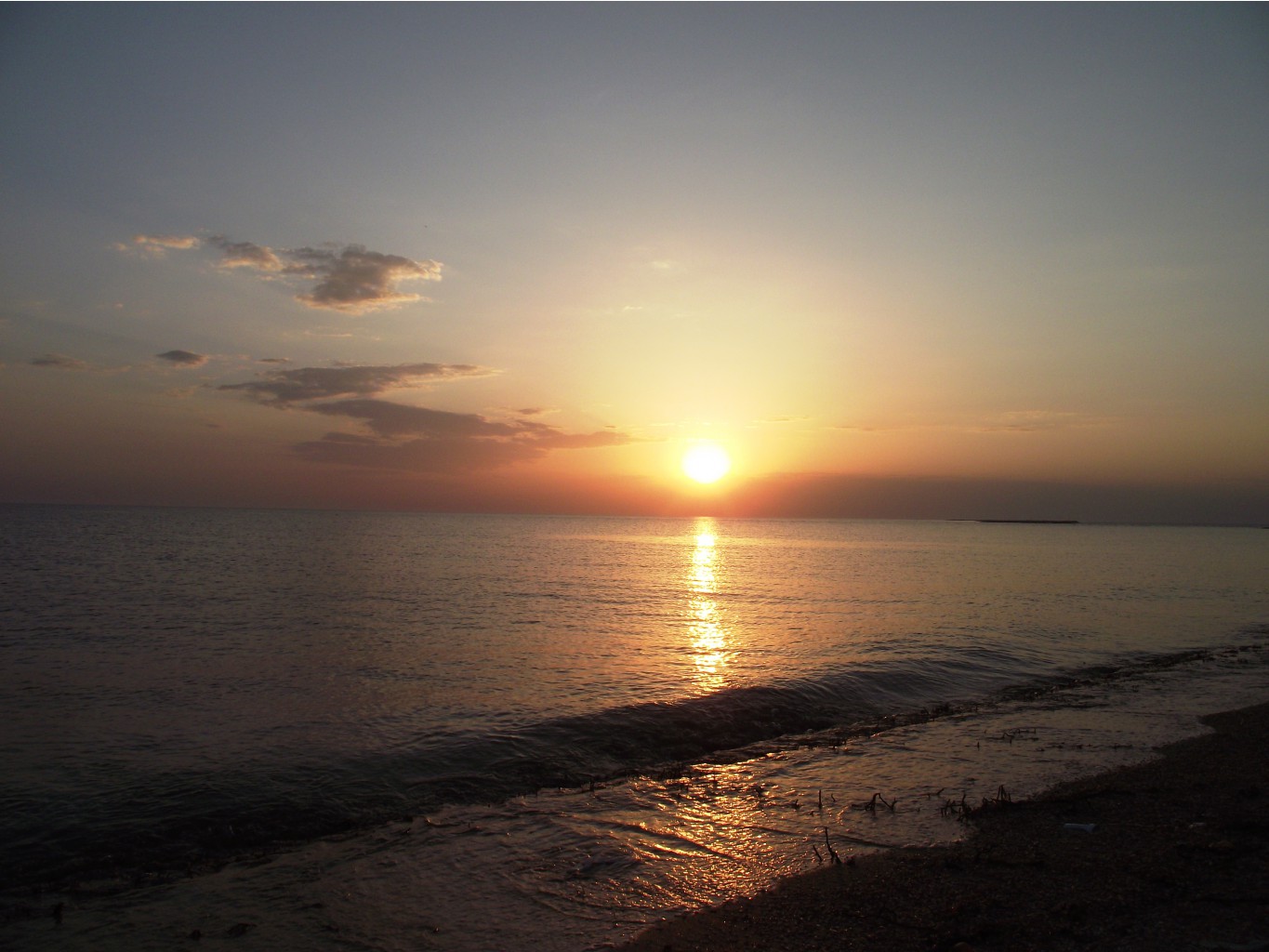 DSCF5235.JPG