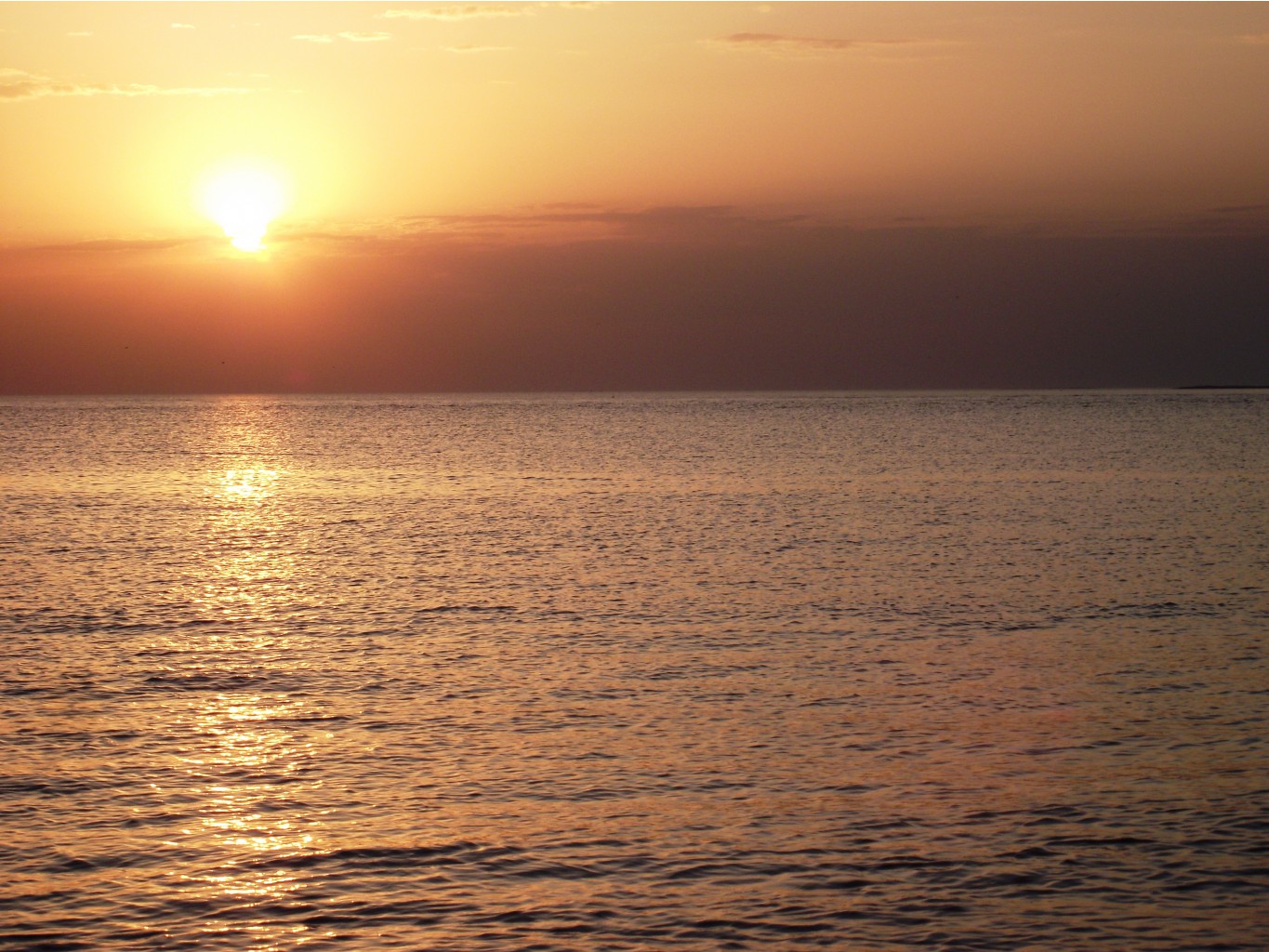 DSCF5244.JPG