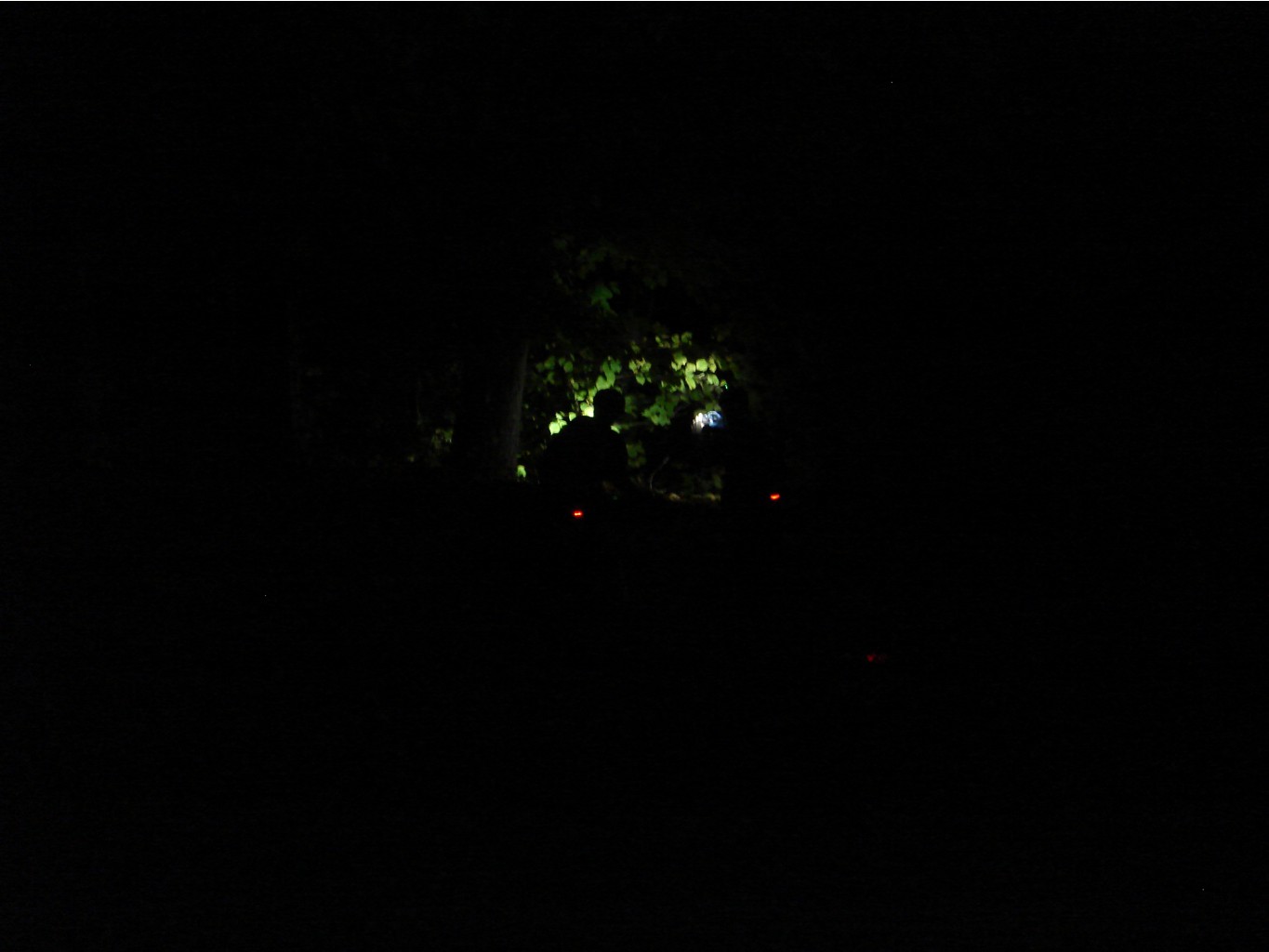 09.10.2010 8:54:10