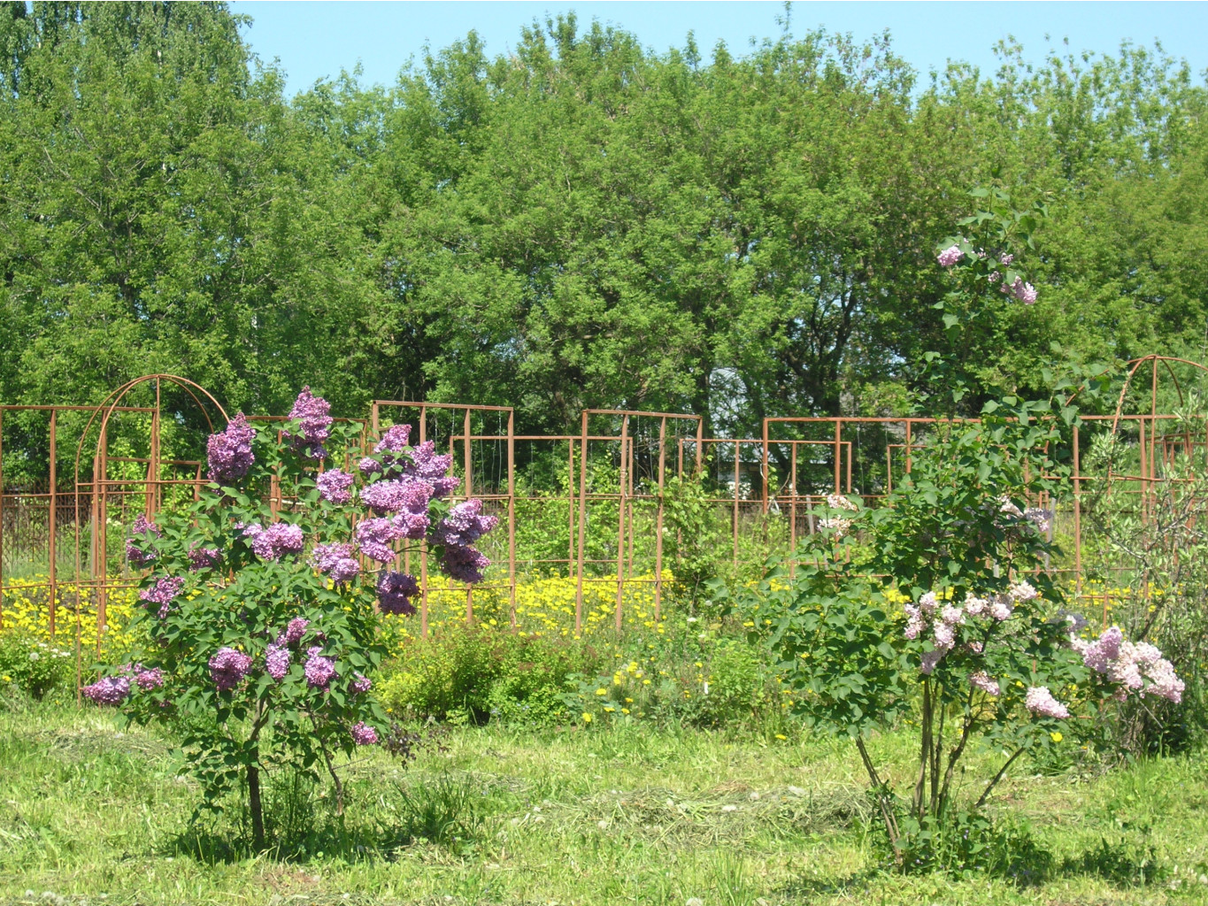 30.05.2009 22:38:09