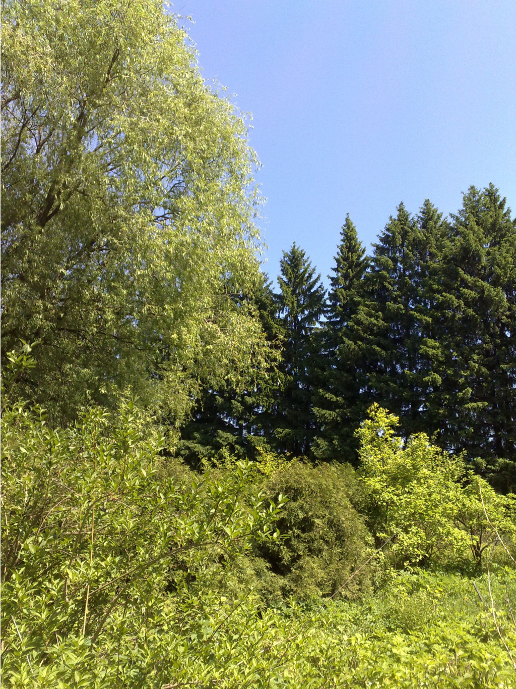 30.05.2009 22:52:27
