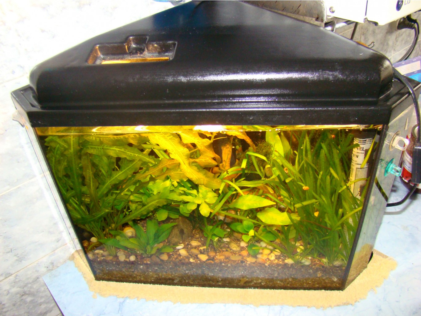 09.10.2010 15:37:33