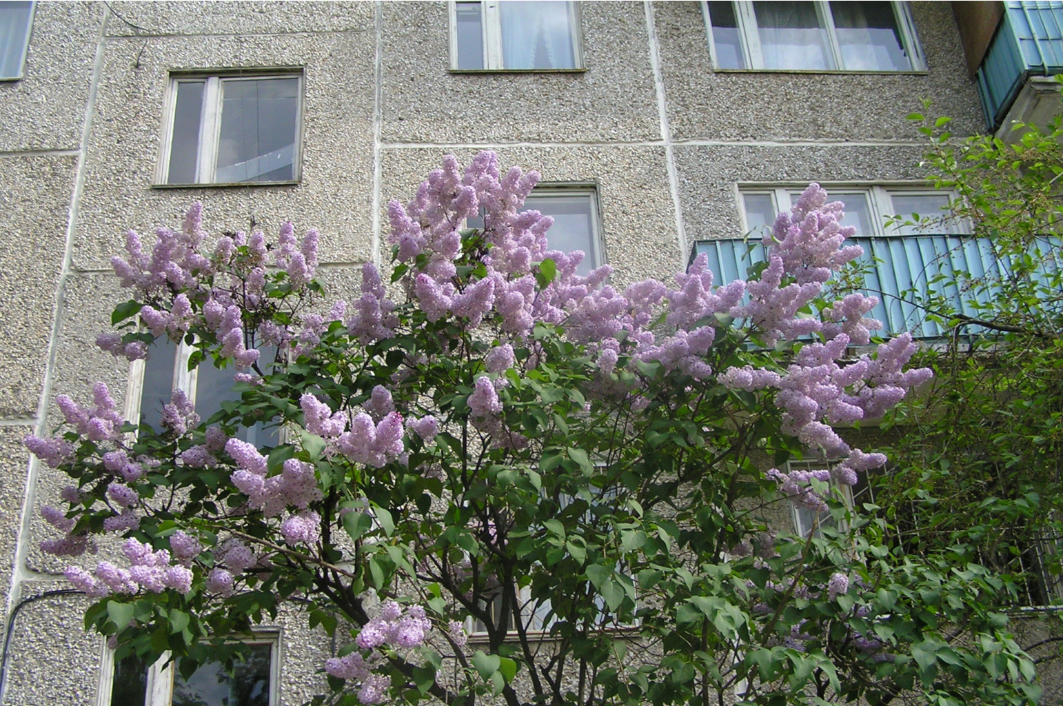 02.06.2009 14:47:49
