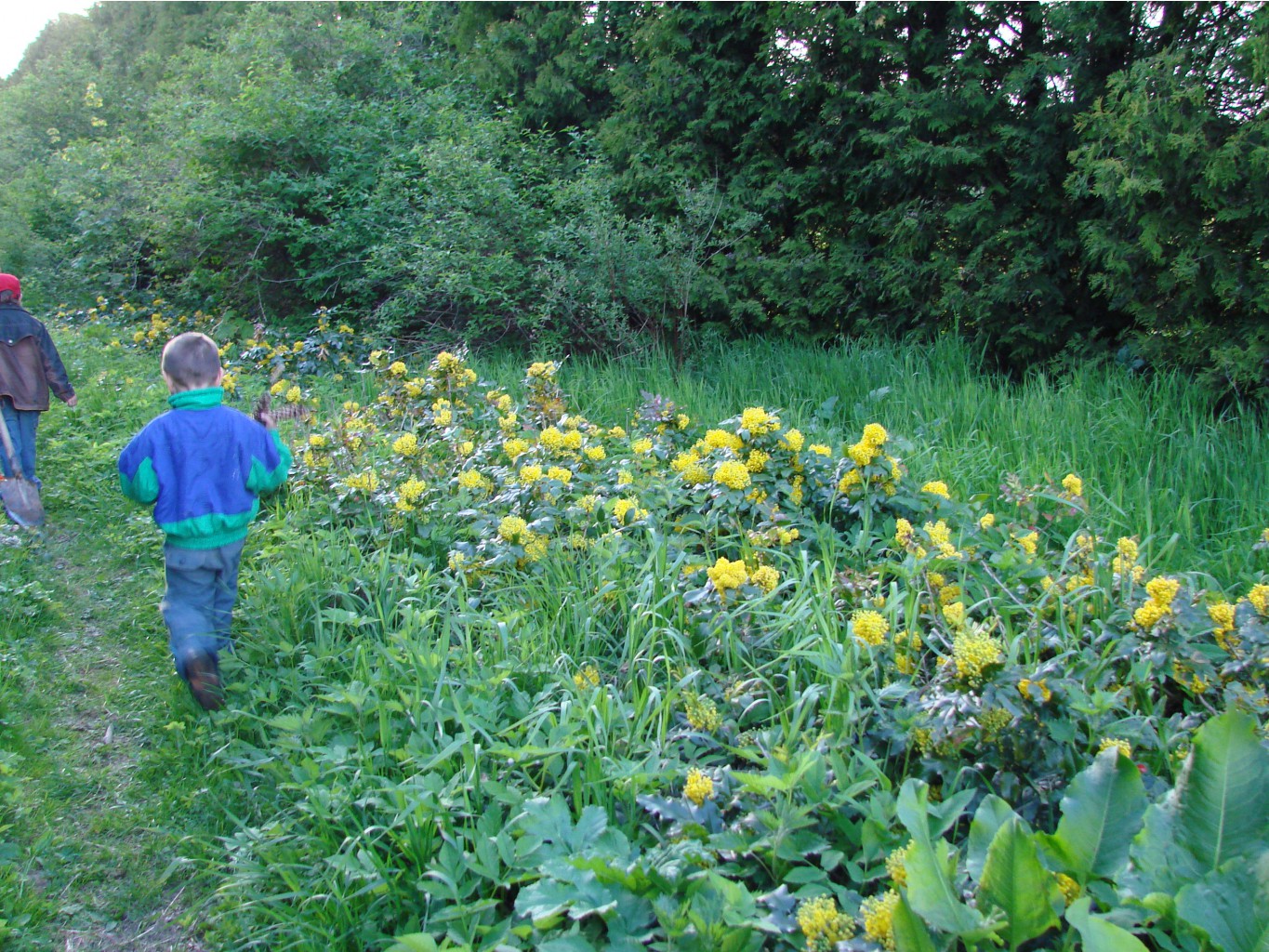 05.06.2009 10:09:36