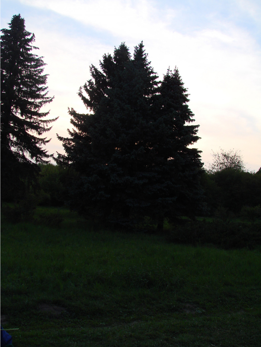 05.06.2009 10:33:58