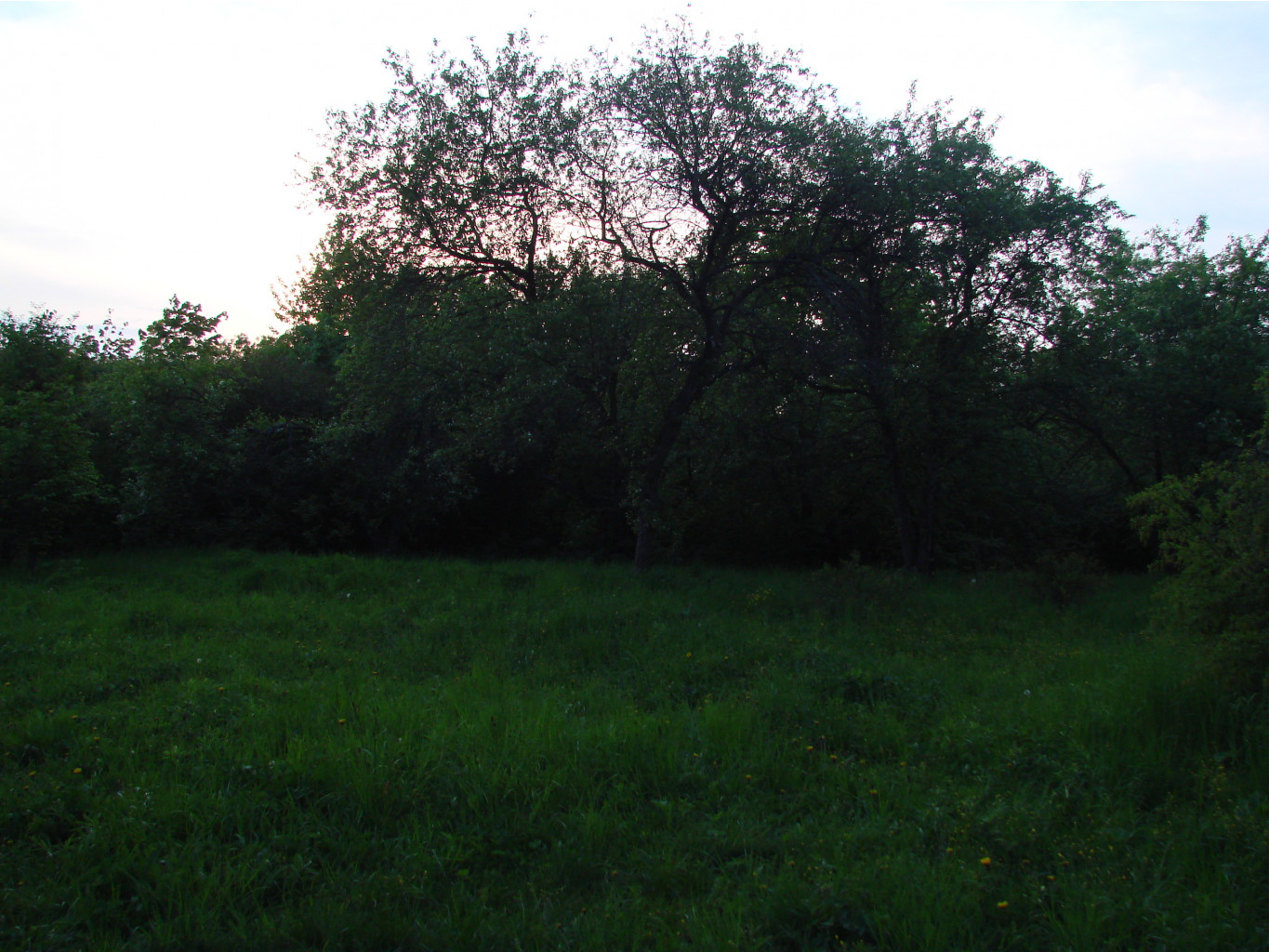 05.06.2009 10:38:17